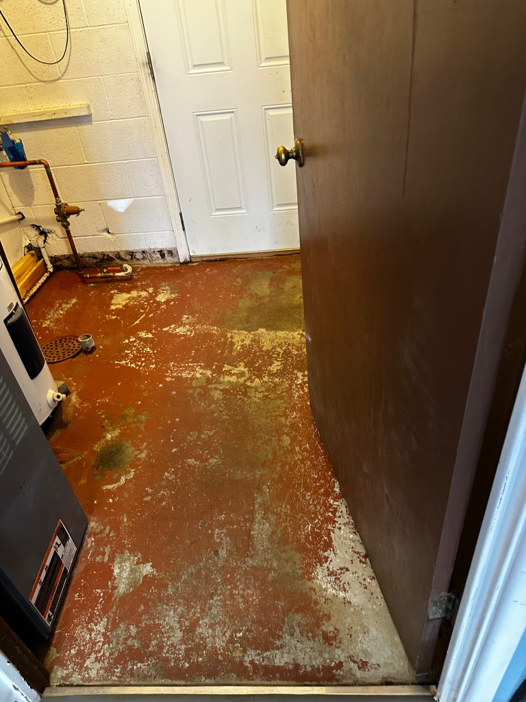 Interior view of a room with a reddish, worn floor, a door ajar on the right, and a white door leading outside at the back.
